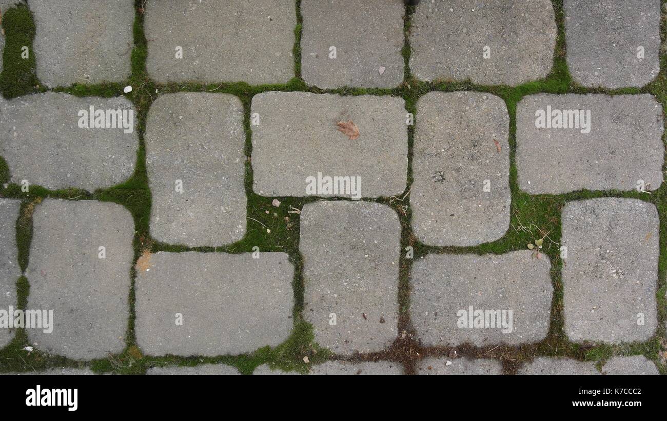 Walkway Pavers Stock Photo