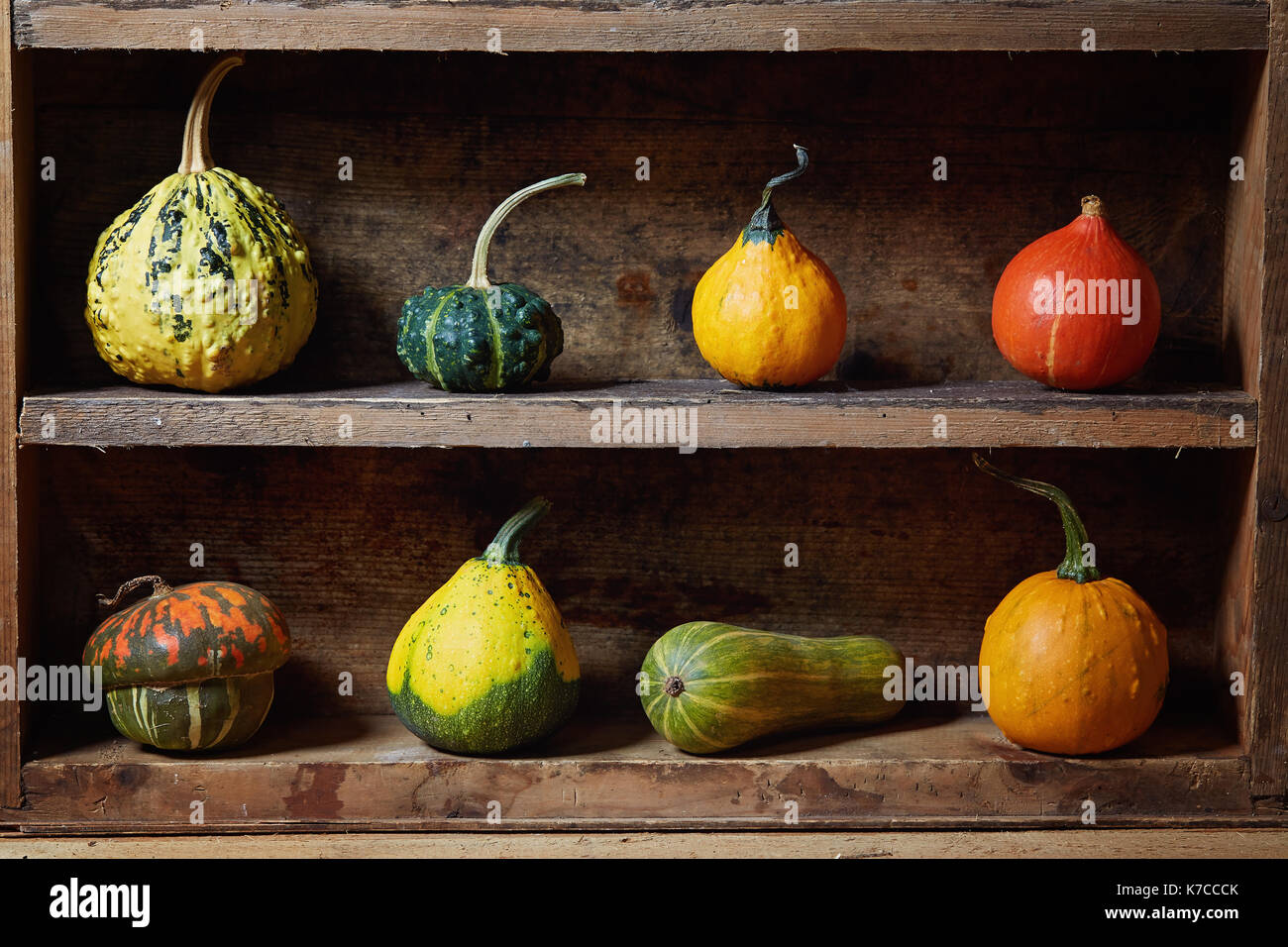 Assortment of different decorative and edible pumpkins on old wooden shelf. Still life with decorative gourd. Stock Photo