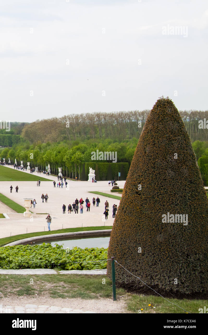 View of the Gardens of Versailles with a topiary tree in the foreground. Versailles, France Stock Photo