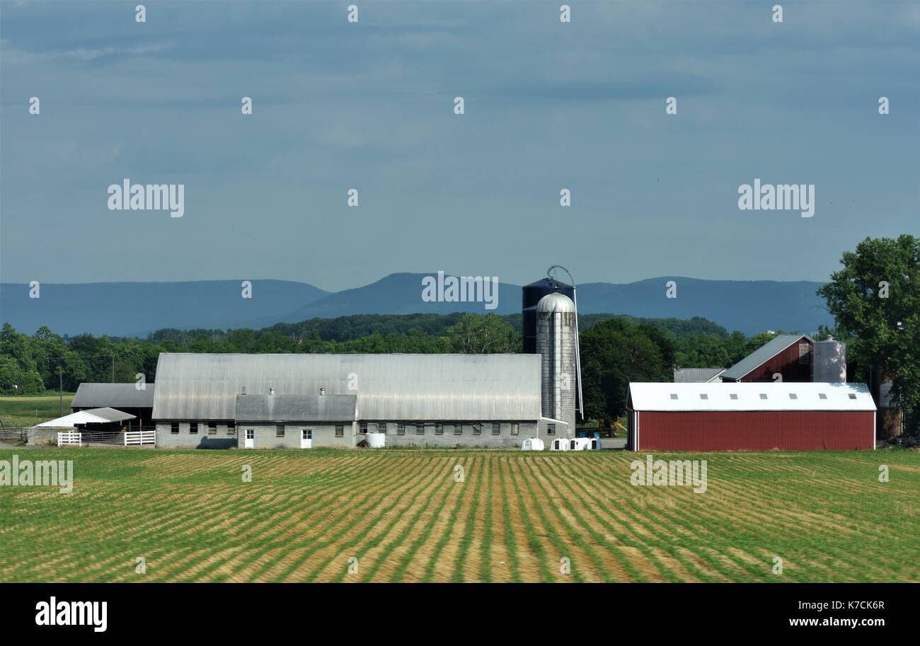 Springfield Farm Pa Rural pennsylvania crops hi-res stock photography and images - Alamy