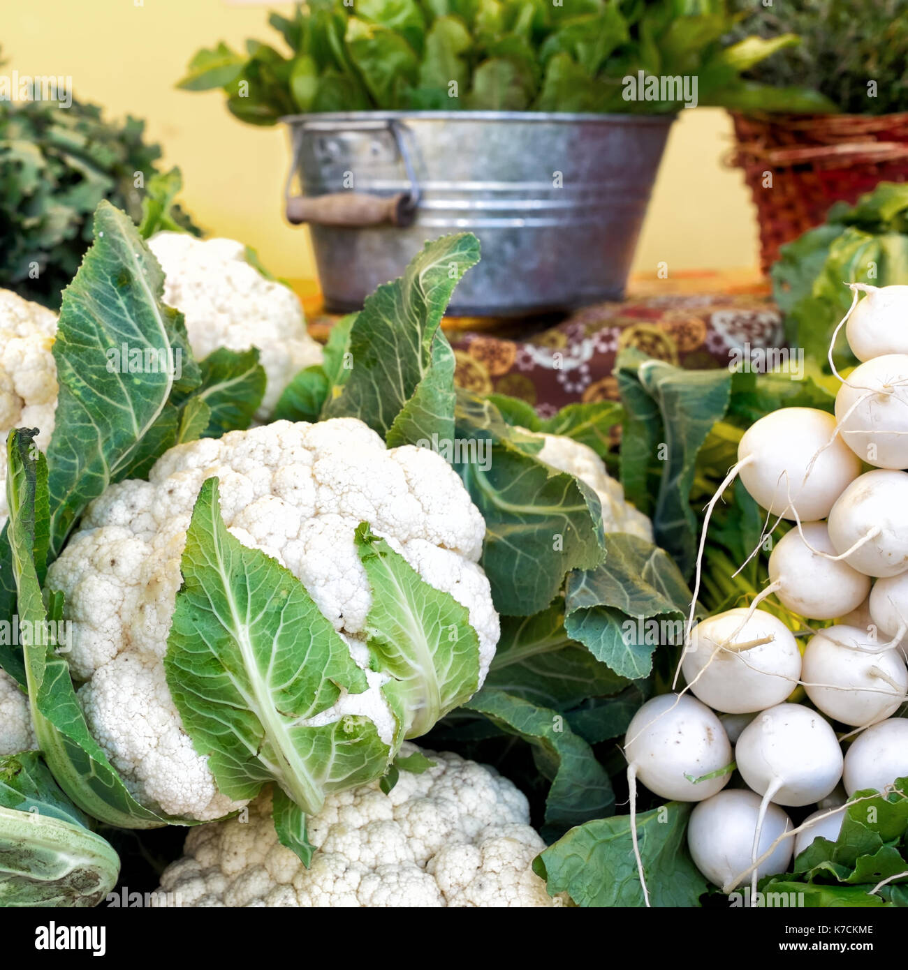 Cauliflower and white turnips at a farmers market. Square format Stock Photo