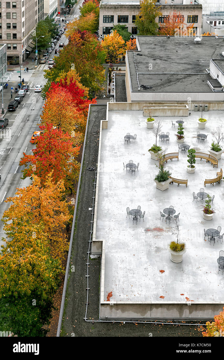 Fall Backyard Rooftop Rooftop garden aerial view. Trees with fall color foliage. Furniture ...