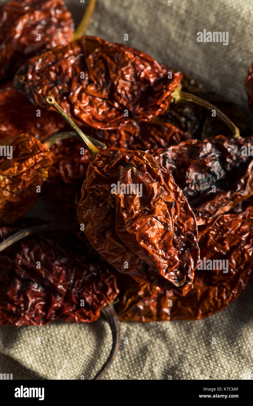 Super Hot Spicy Scorpion Bhut Jolokia Pepper Ready to Use Stock Photo