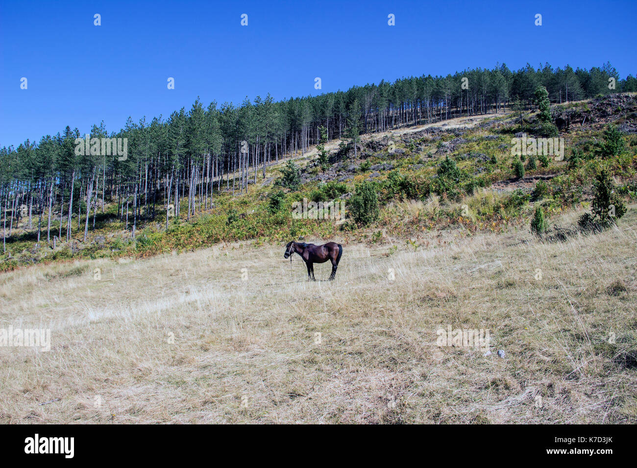 Harmony ranch hi-res stock photography and images - Alamy