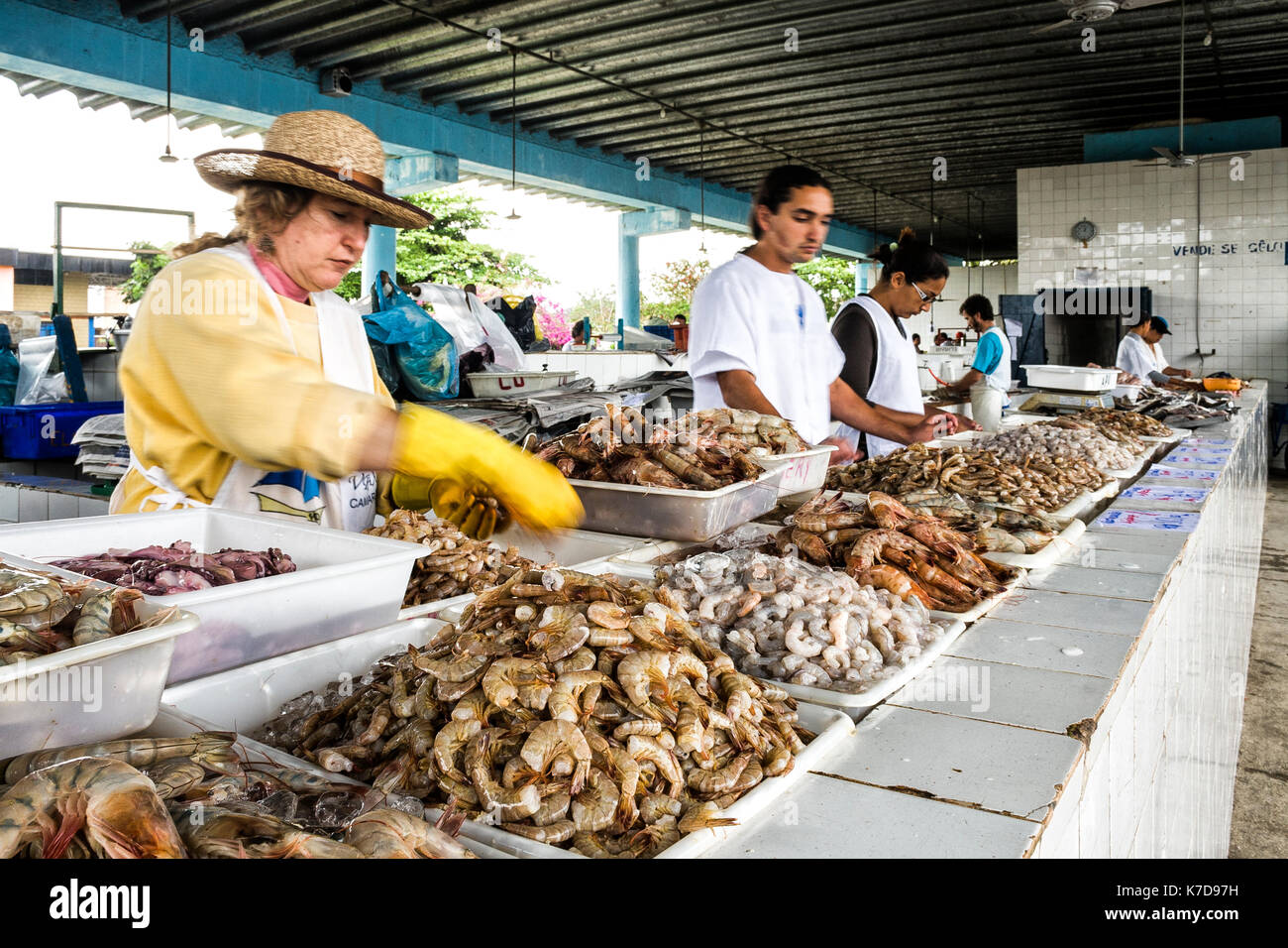 Fresh prawns for sale in the fish market of Ubatuba, a coastal city at Sao Paulo state. Ubatuba, Sao Paulo state, Brazil. Stock Photo