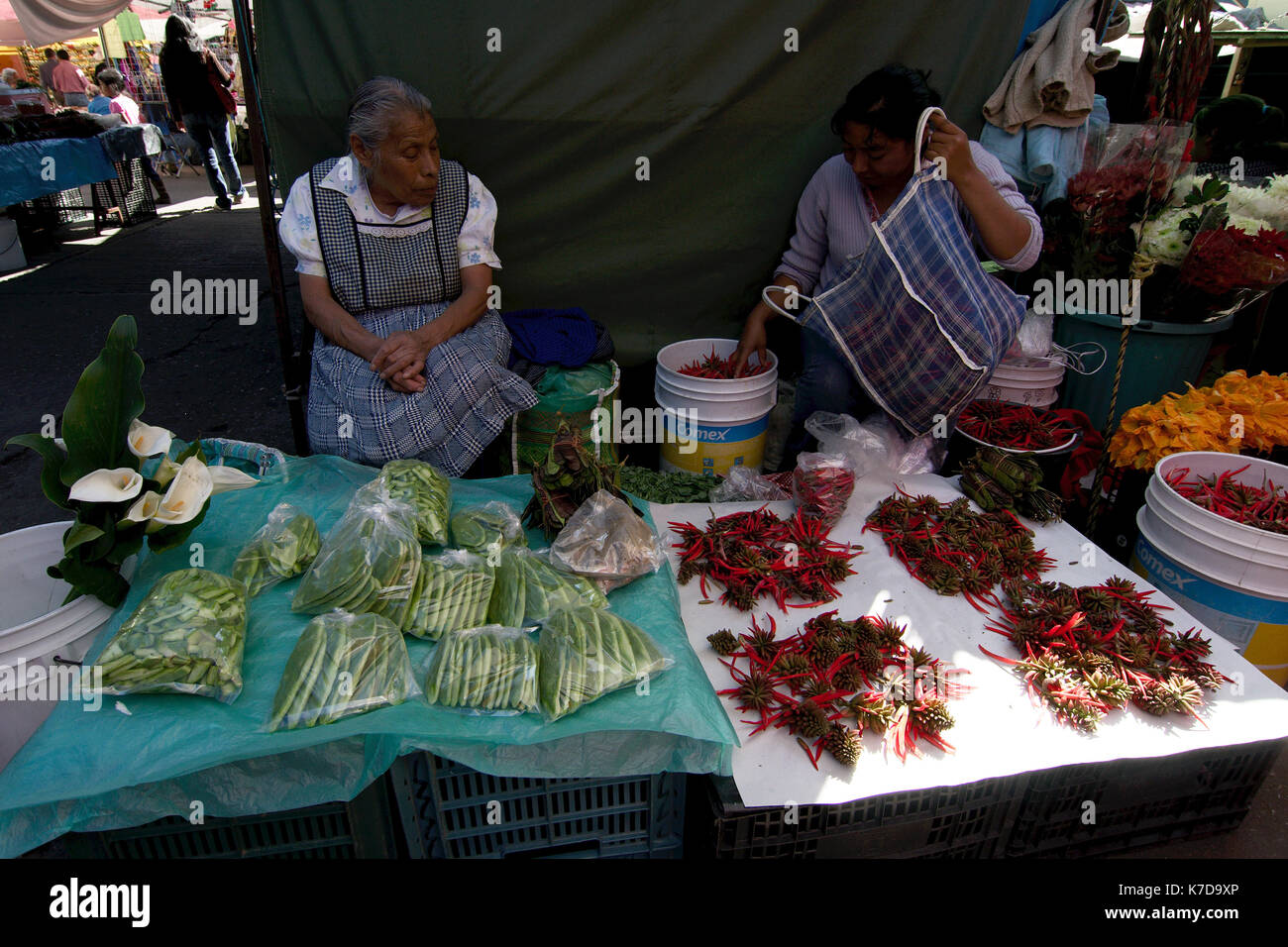 Tepoztlan, Morelos, Mexico 2013 The weekend folkloric market is one of the town's main