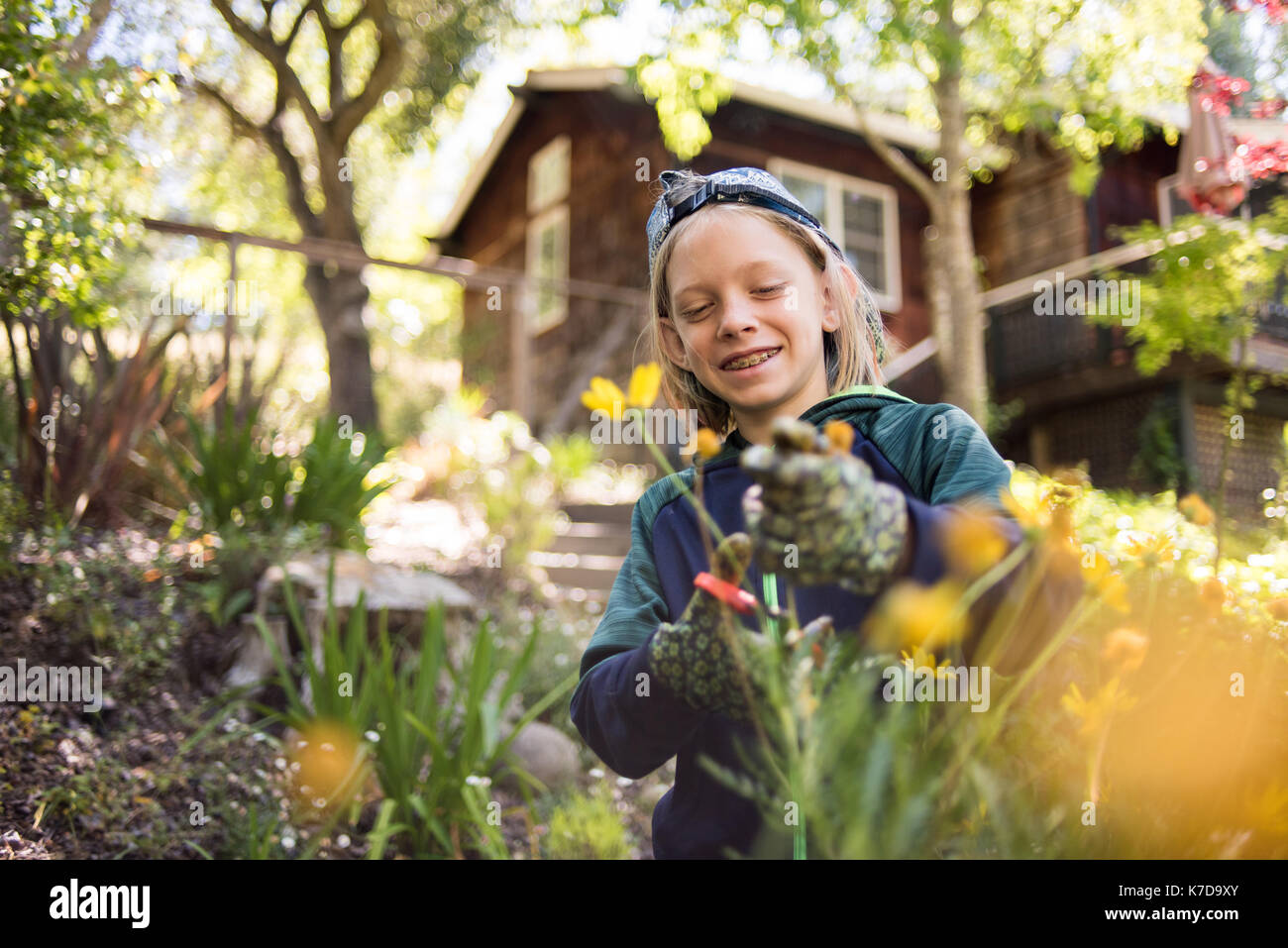 Happy boy cutting flowers while standing in garden Stock Photo