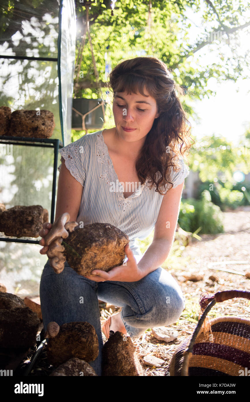 Woman analyzing mushrooms on rock while crouching at farm Stock Photo