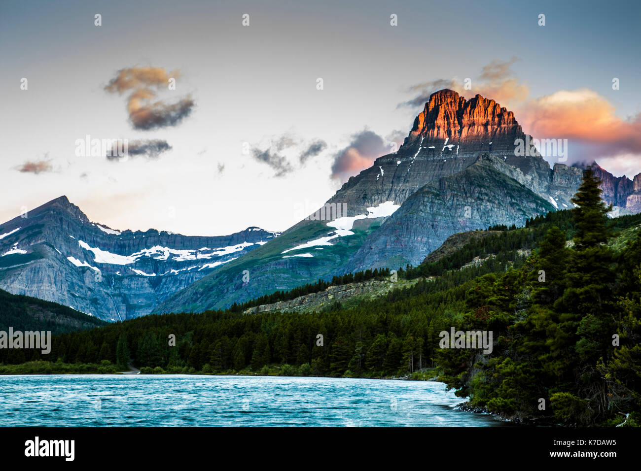 Wildlife wild flowers glacier national park landscapes Stock Photo - Alamy