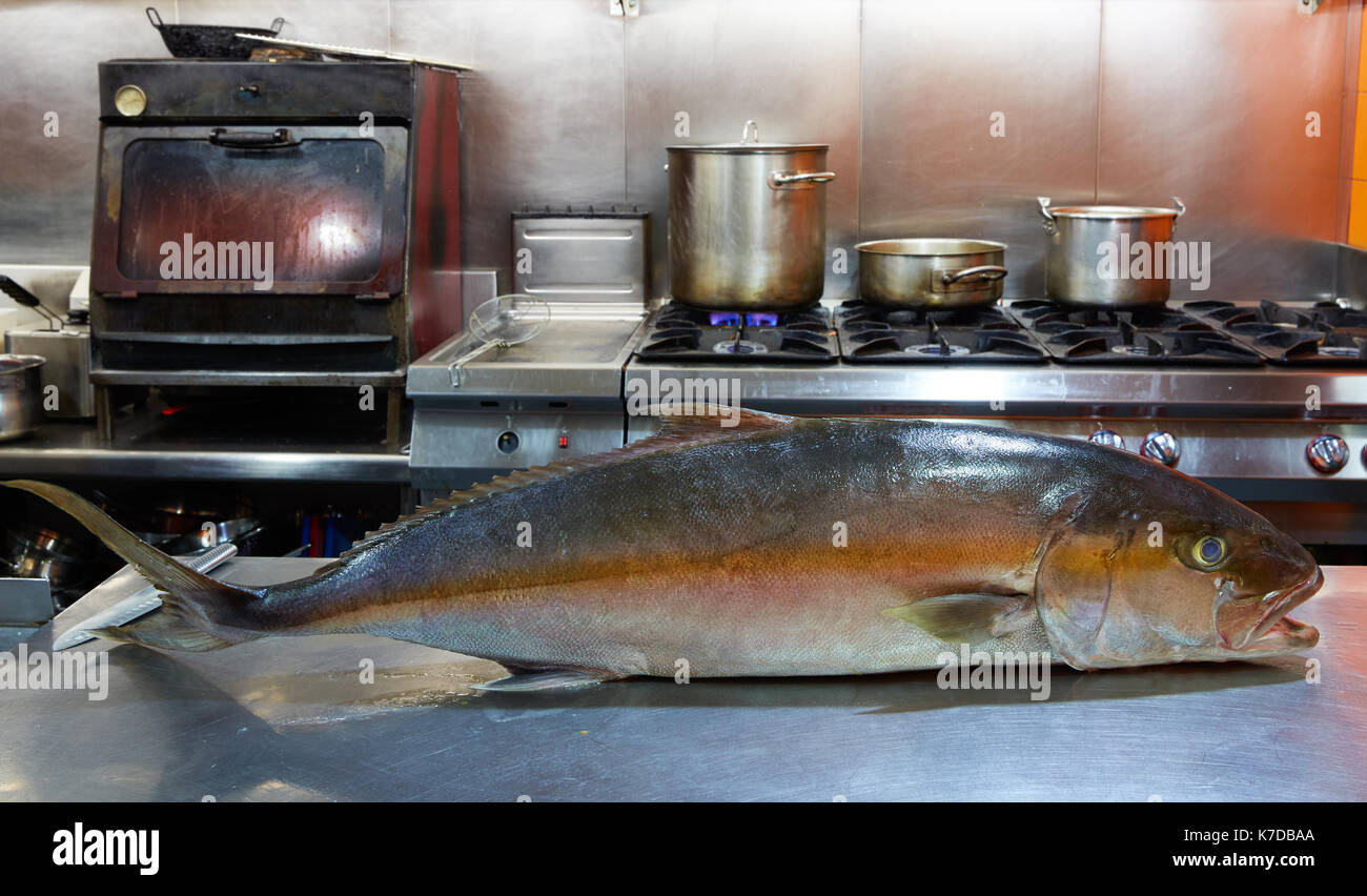 Table Fish Stainless Stainless steel table hi-res stock photography and images - Alamy