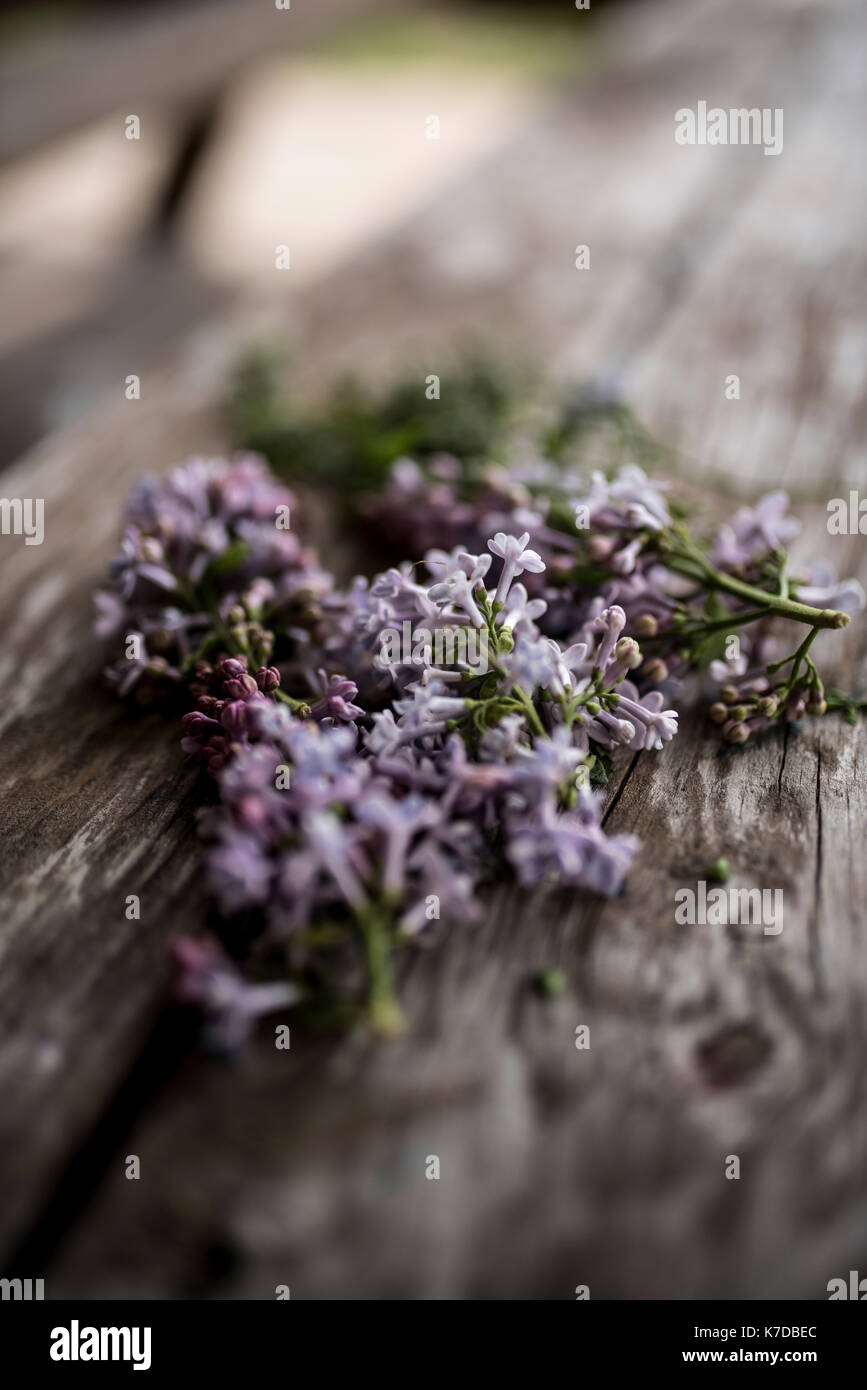 Close-up of lilacs on wooden table Stock Photo