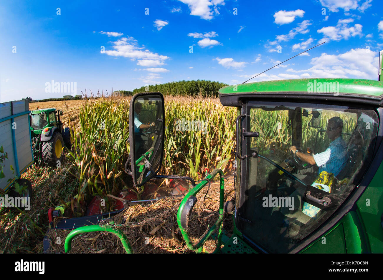 From the combine harvester, the driver is trying to check the correct