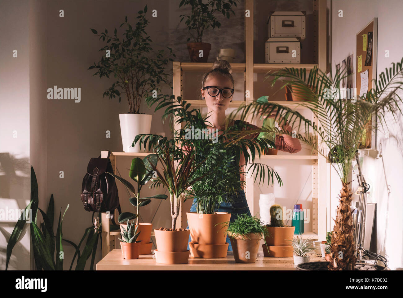 Woman watering potted plants using spray bottle at home Stock Photo