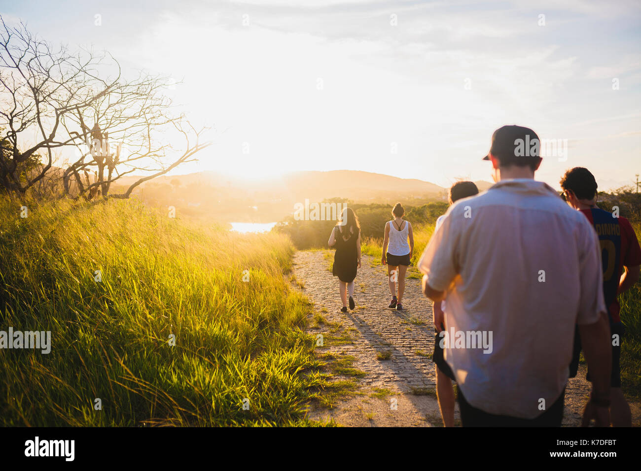 Rear view of friends walking on dirt footpath at field Stock Photo