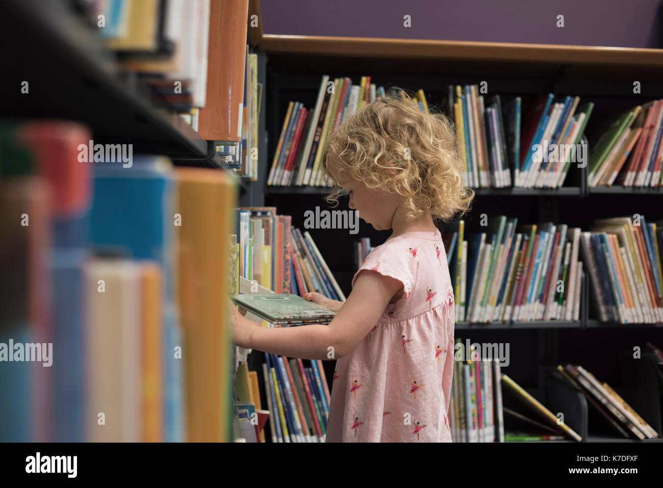 Side view of girl looking at book while standing in library Stock Photo