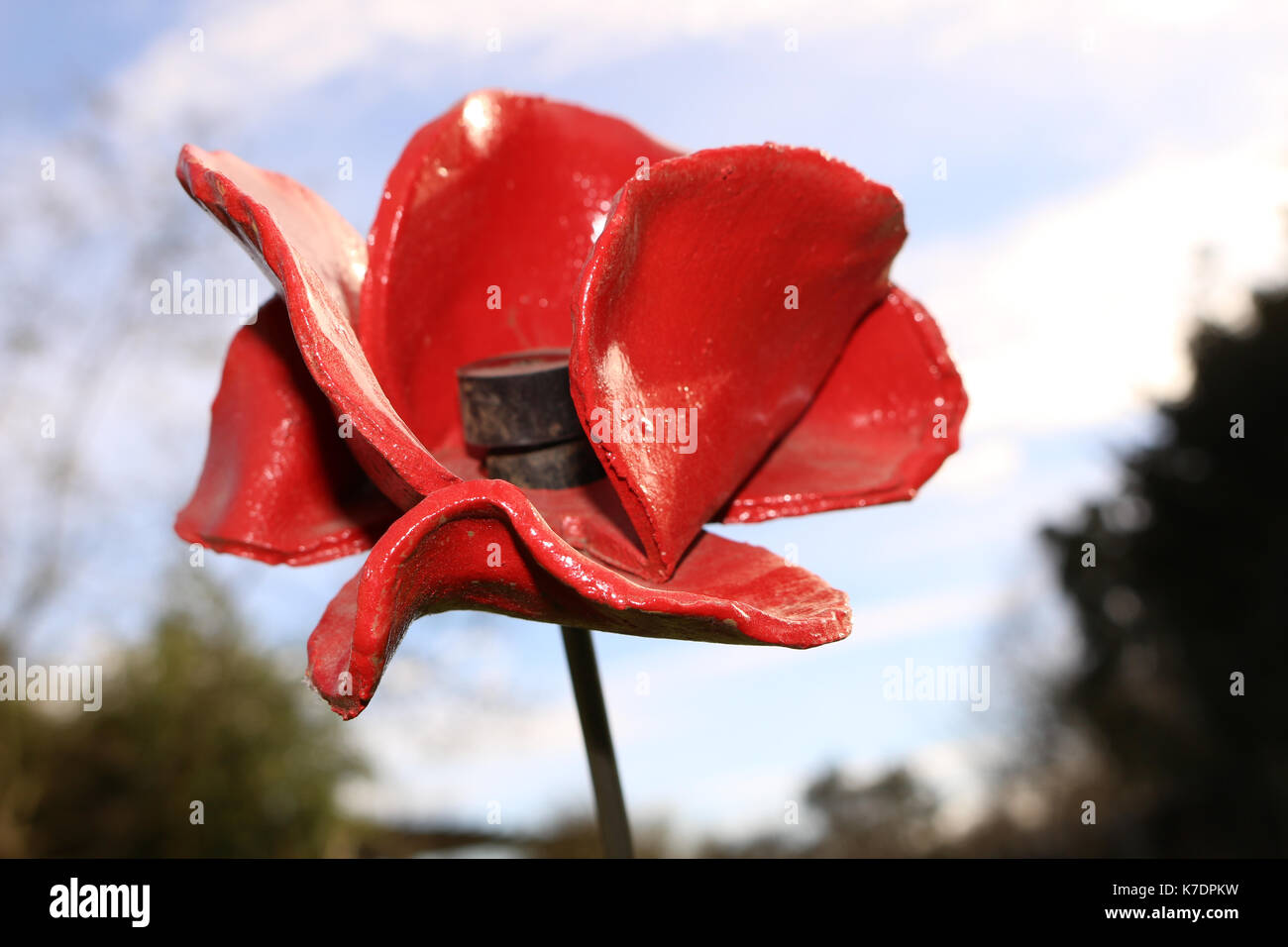 Remembrance poppy 1914-1918 Stock Photo