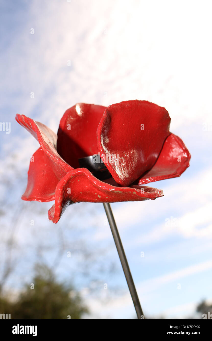 Remembrance poppy 1914-1918 Stock Photo