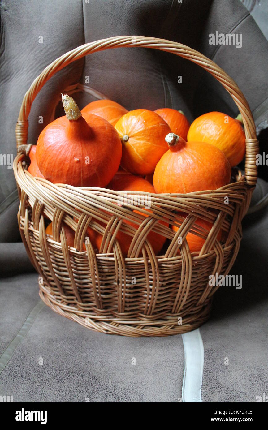 little bright orange color sweet pumpkins prepare for decoration on Halloween made lanterns and cakes Stock Photo