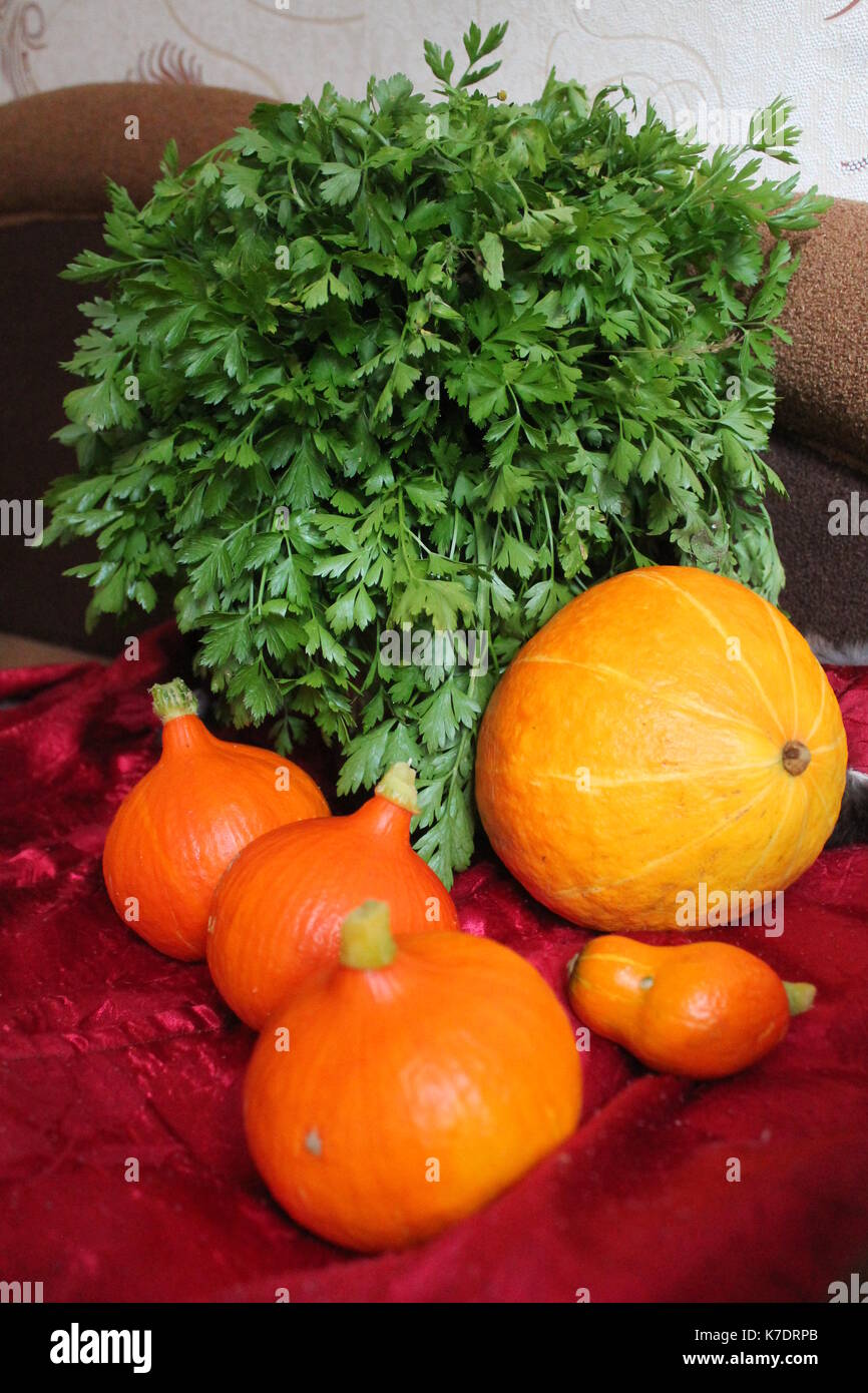 little bright orange color sweet pumpkins prepare for decoration on Halloween made lanterns and cakes Stock Photo
