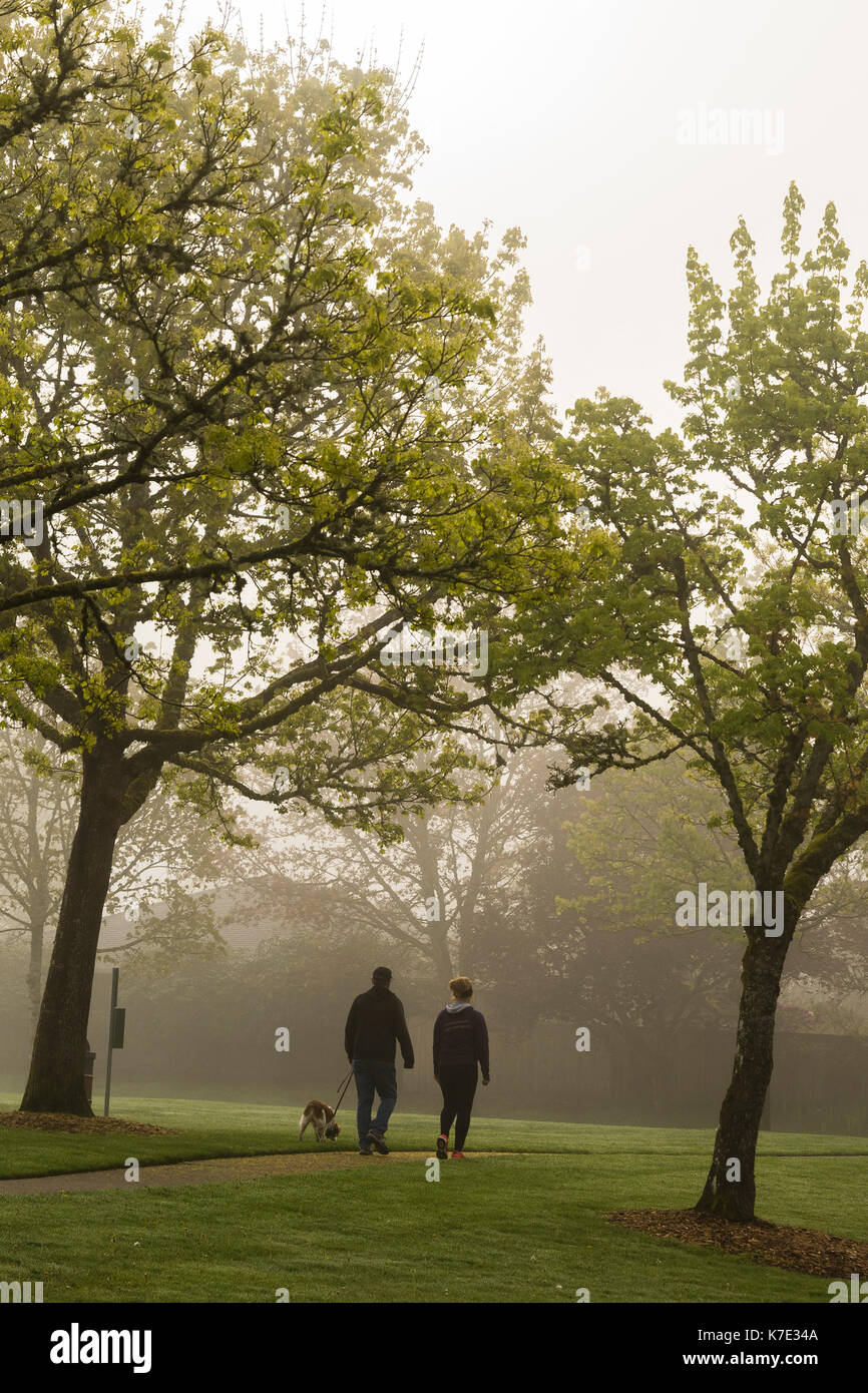 A couple walking their dog through the foggy park in the morning. Stock Photo