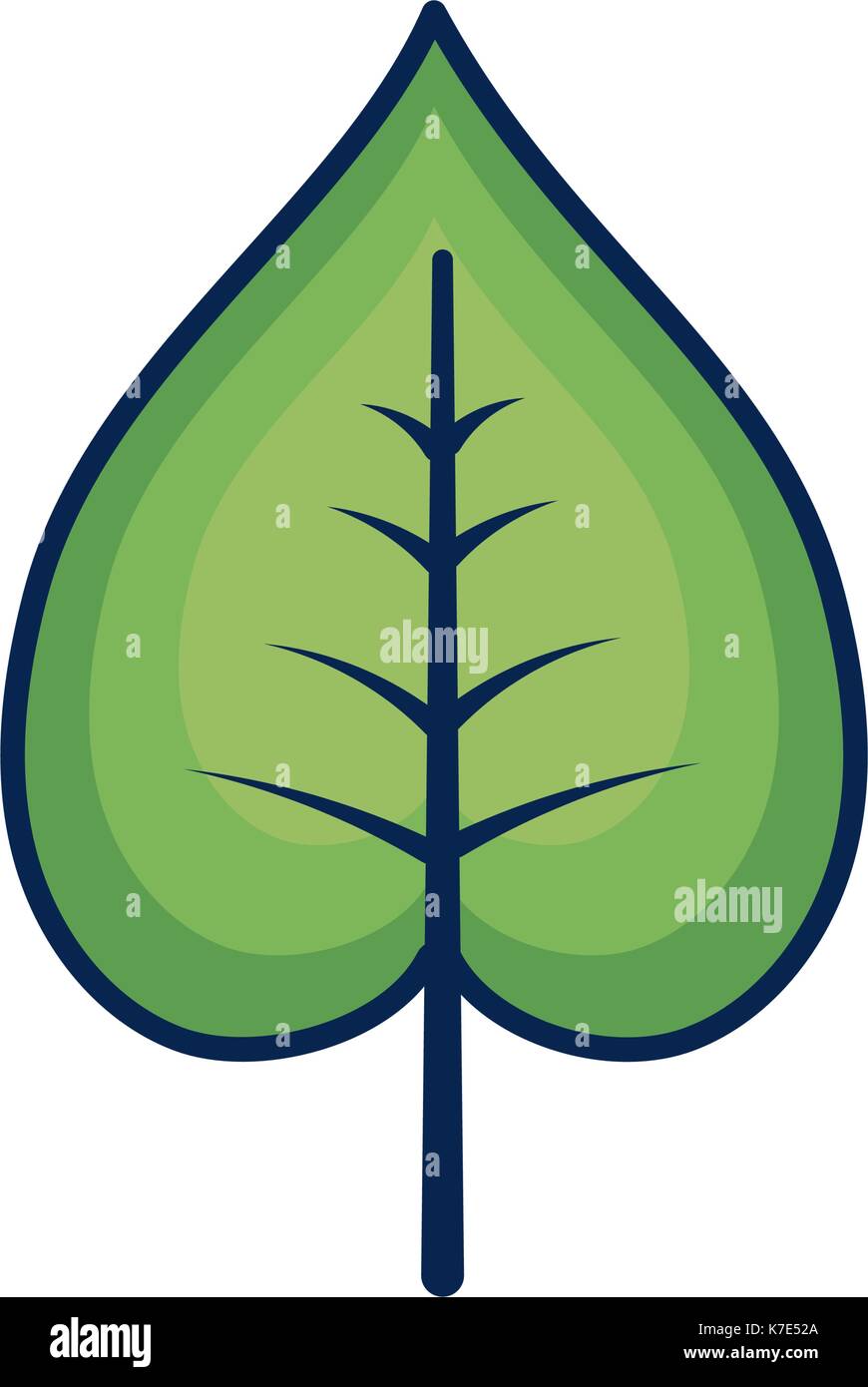 natural and tropical leaf Stock Vector Image & Art - Alamy
