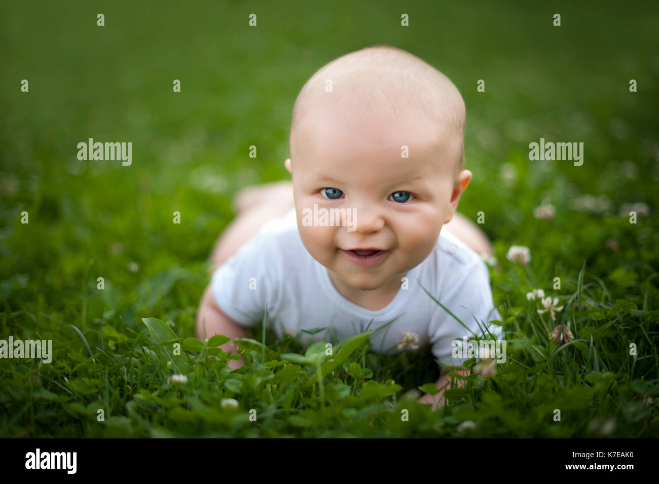 little boy laing in the grass Stock Photo