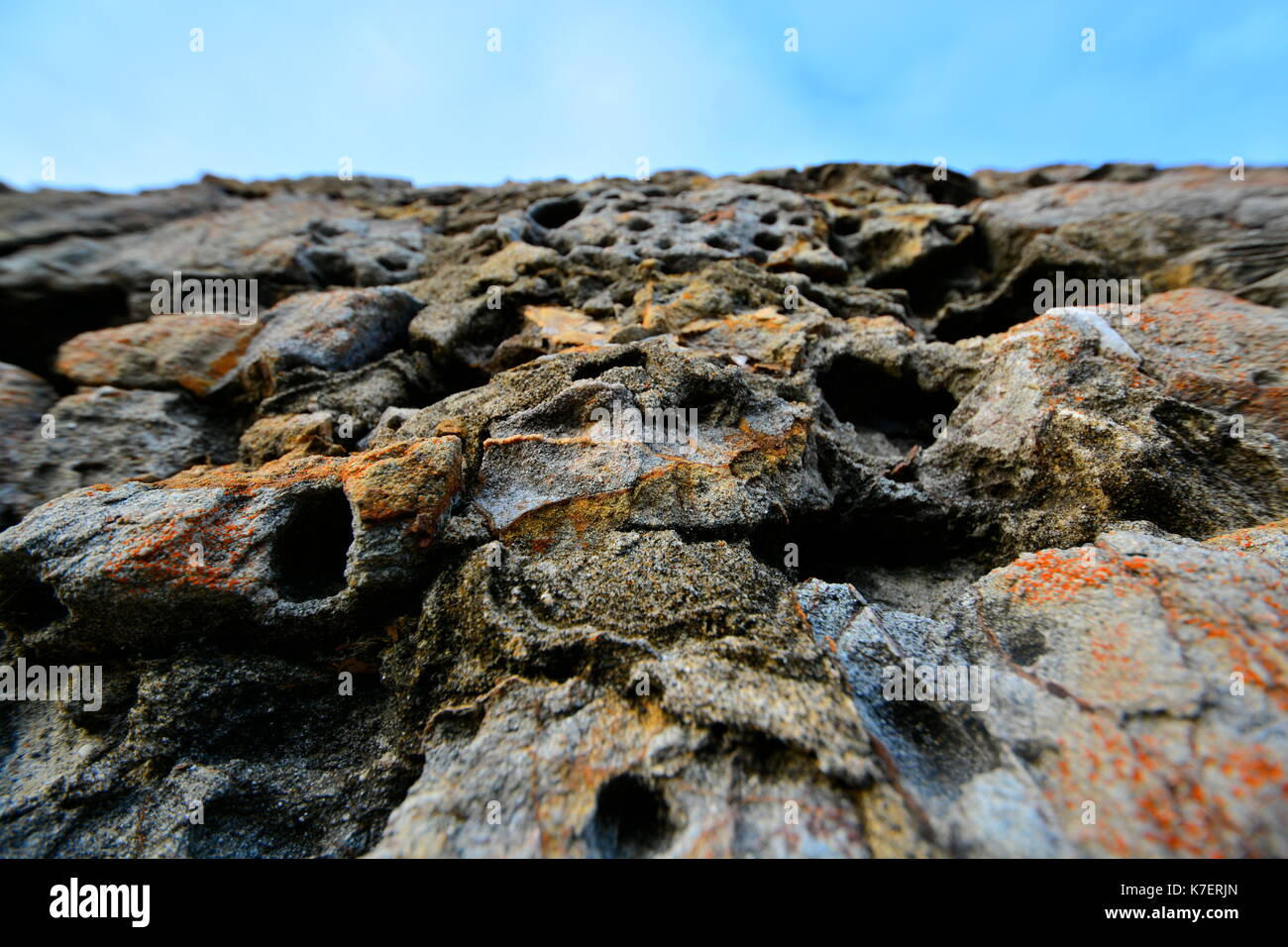 Porous rocks in San Francisco Stock Photo - Alamy