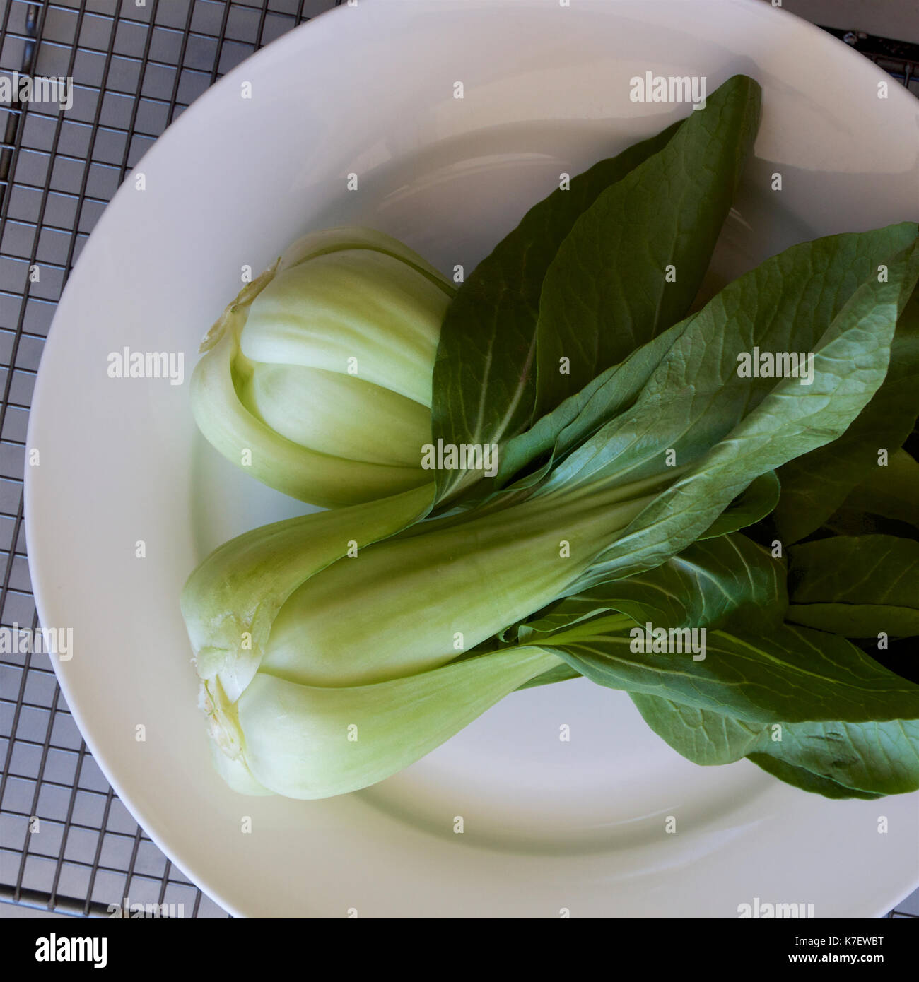Chinese cabbage (Pak Choy or Bok Choy vegetable. Stock Photo