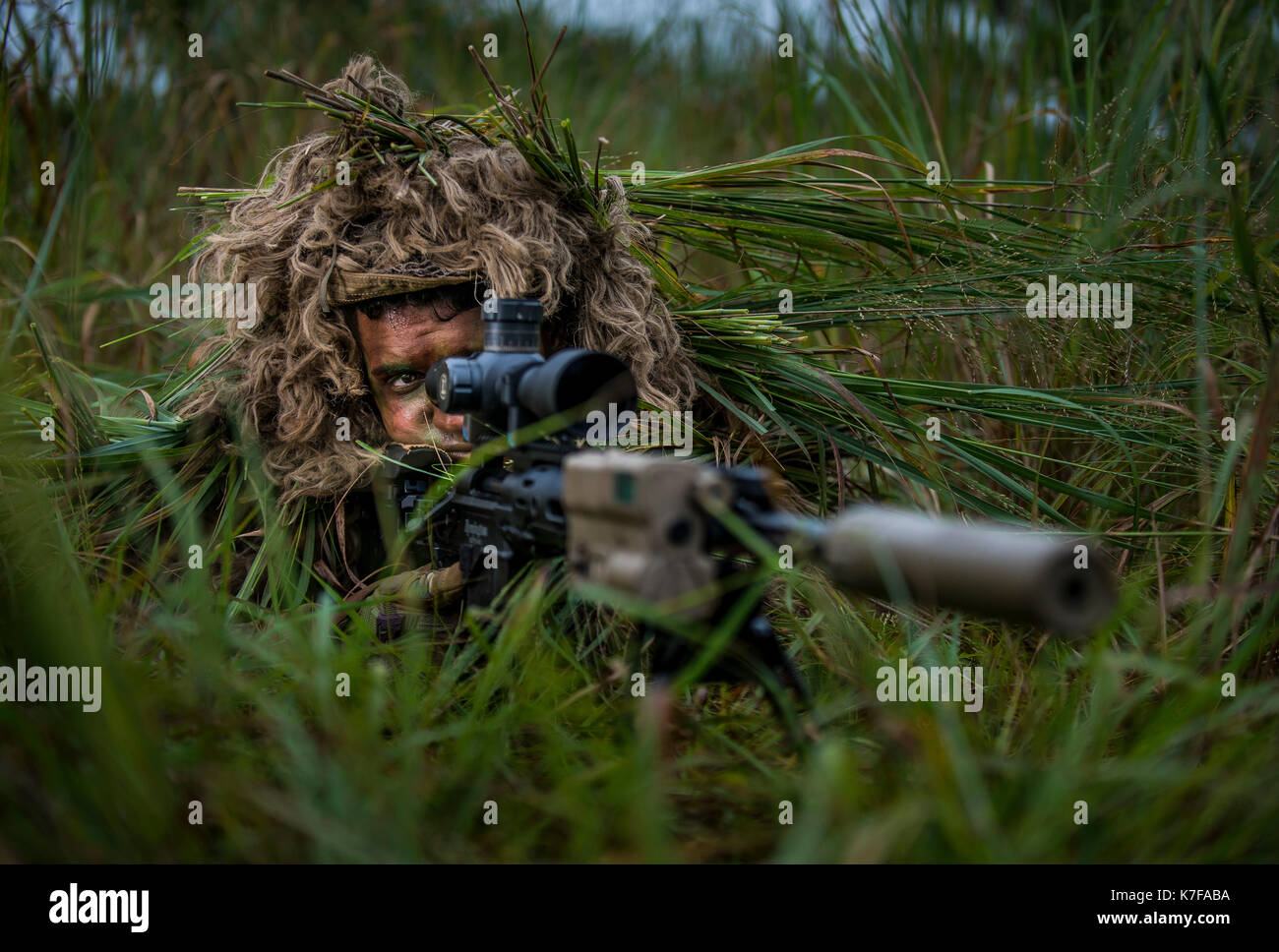 Snipers Stock Photo