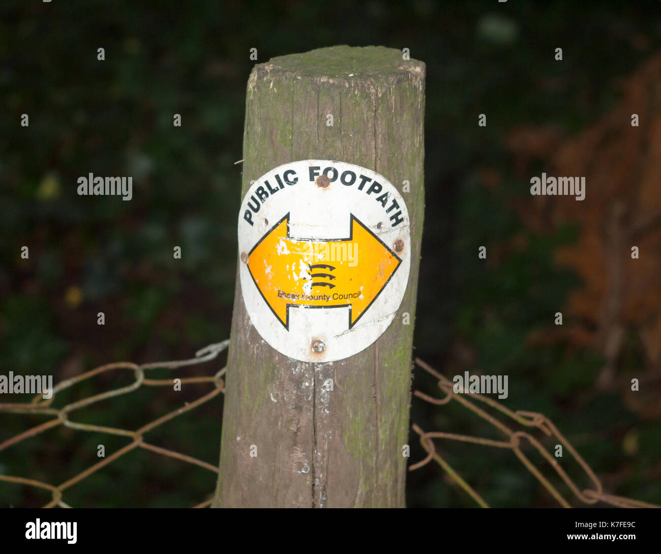 close up of essex walking trail path wooden post with yellow arrows; England; UK Stock Photo
