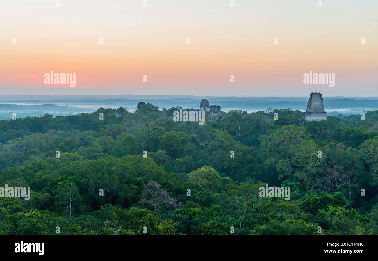 Panoramic view of the Mayan archaeological site of Tikal with its pyramids in the Peten jungle at sunrise, Guatemala, Central America. Stock Photo