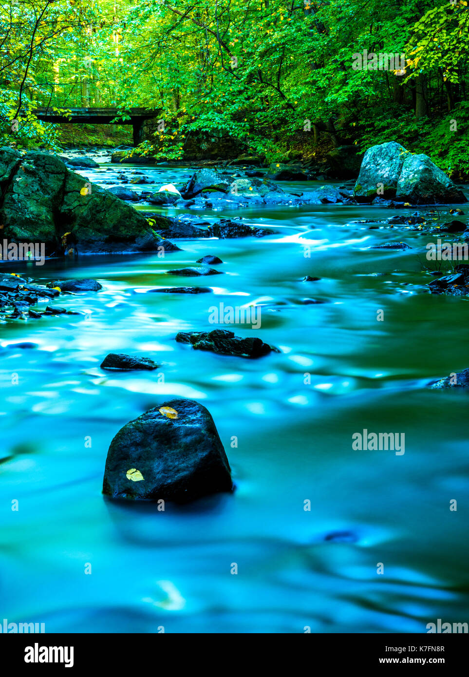 Silk effect of Black River flowing through forest. Flowing water on the background and bridge with trees on the background Stock Photo