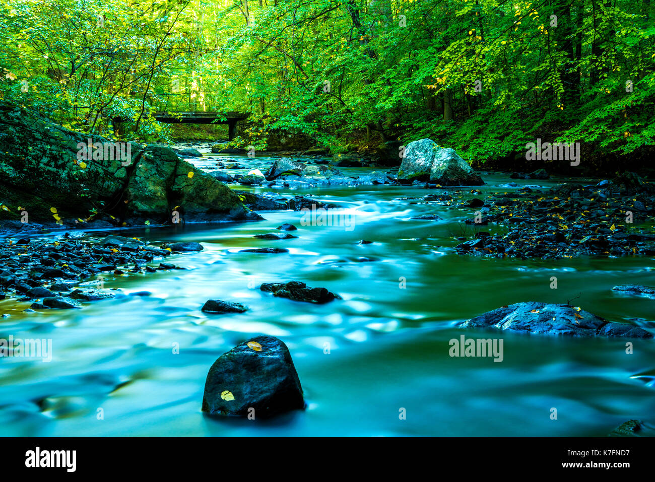 Silk effect of Black River flowing through forest. Flowing water on the background and bridge with trees on the background Stock Photo