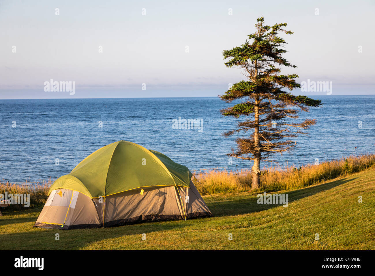 Tent camping site at Red Point Prov Park, PEI, Canada Stock Photo Alamy