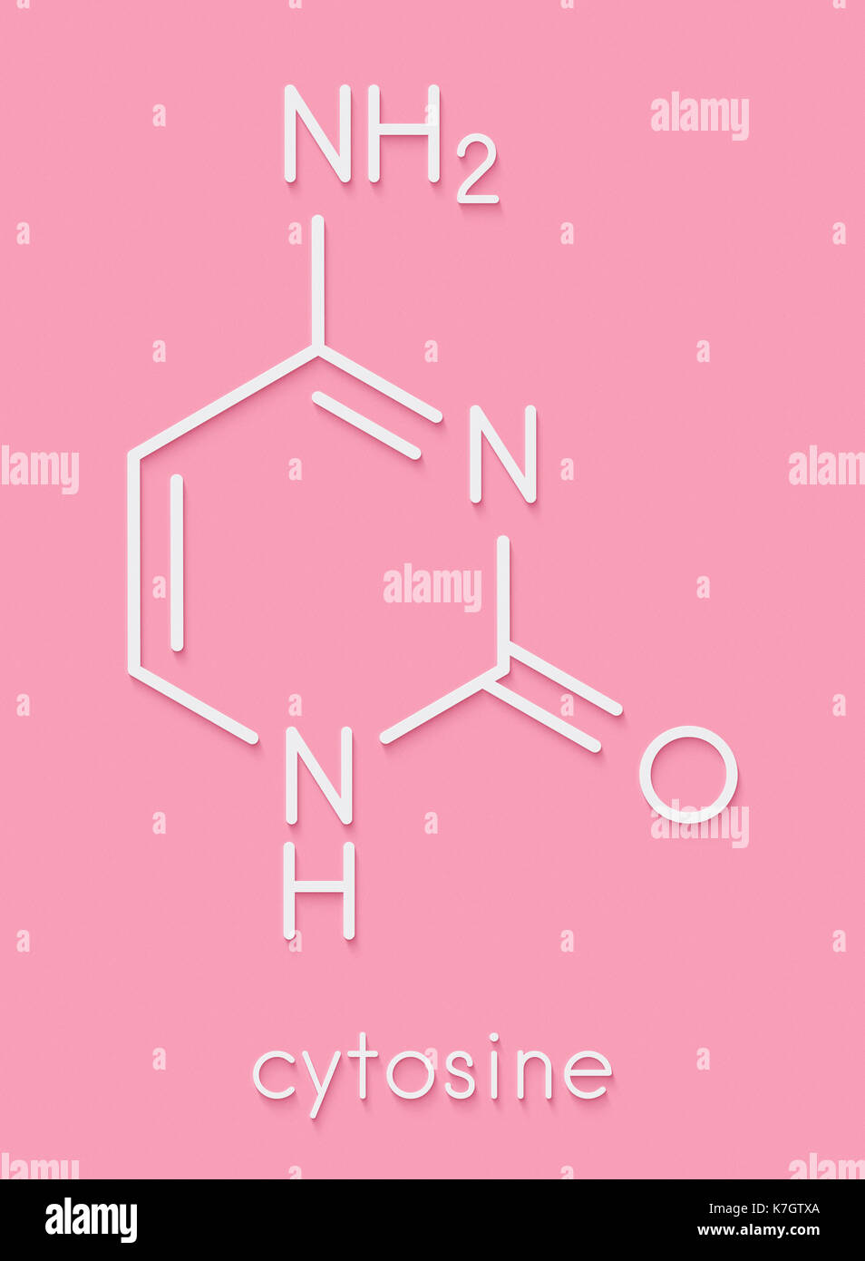 Cytosine pyrimidine nucleobase component. One of the bases found in DNA