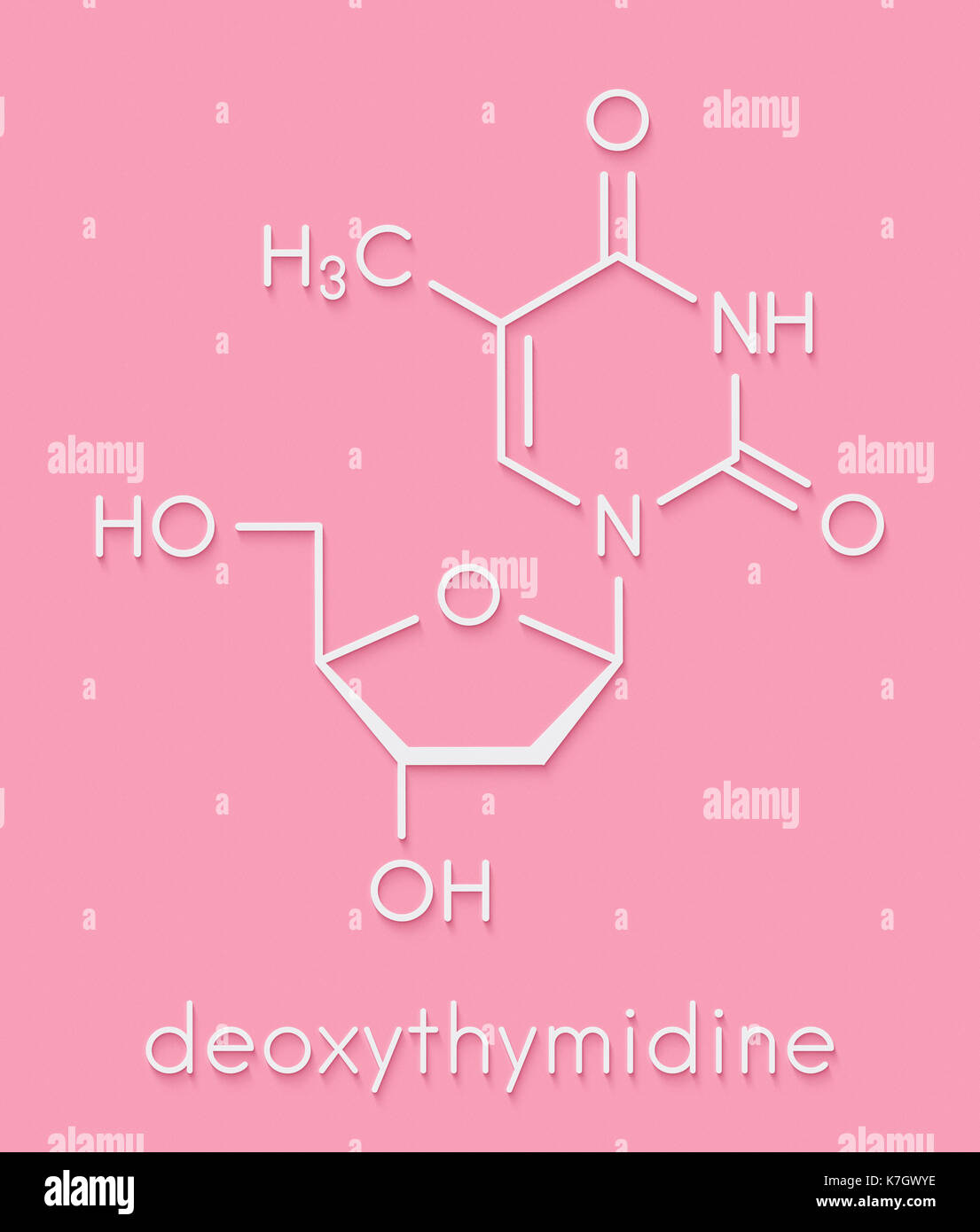 Thymidine (deoxythymidine) nucleoside molecule. DNA building block. Skeletal formula. Stock Photo