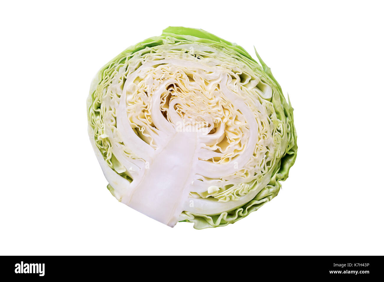 Vegetable half of green cabbage isolated on white background with