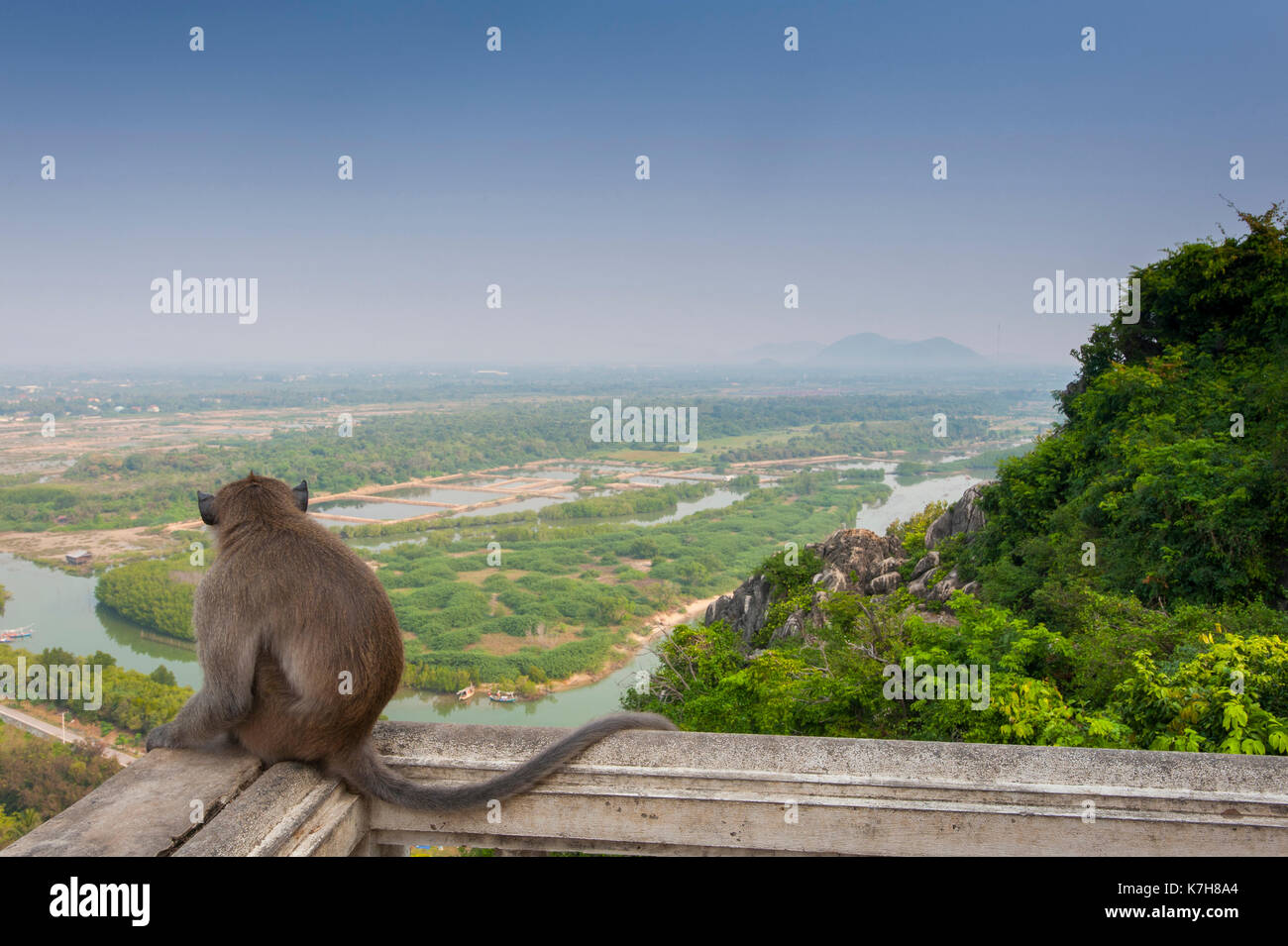 Monkey sits on balcony looking North-West over the Thai landscape and Bang Nang Rom River from Wat Khao Chong Kaeo, Prachuap Khiri Khan, Thailand, Stock Photo