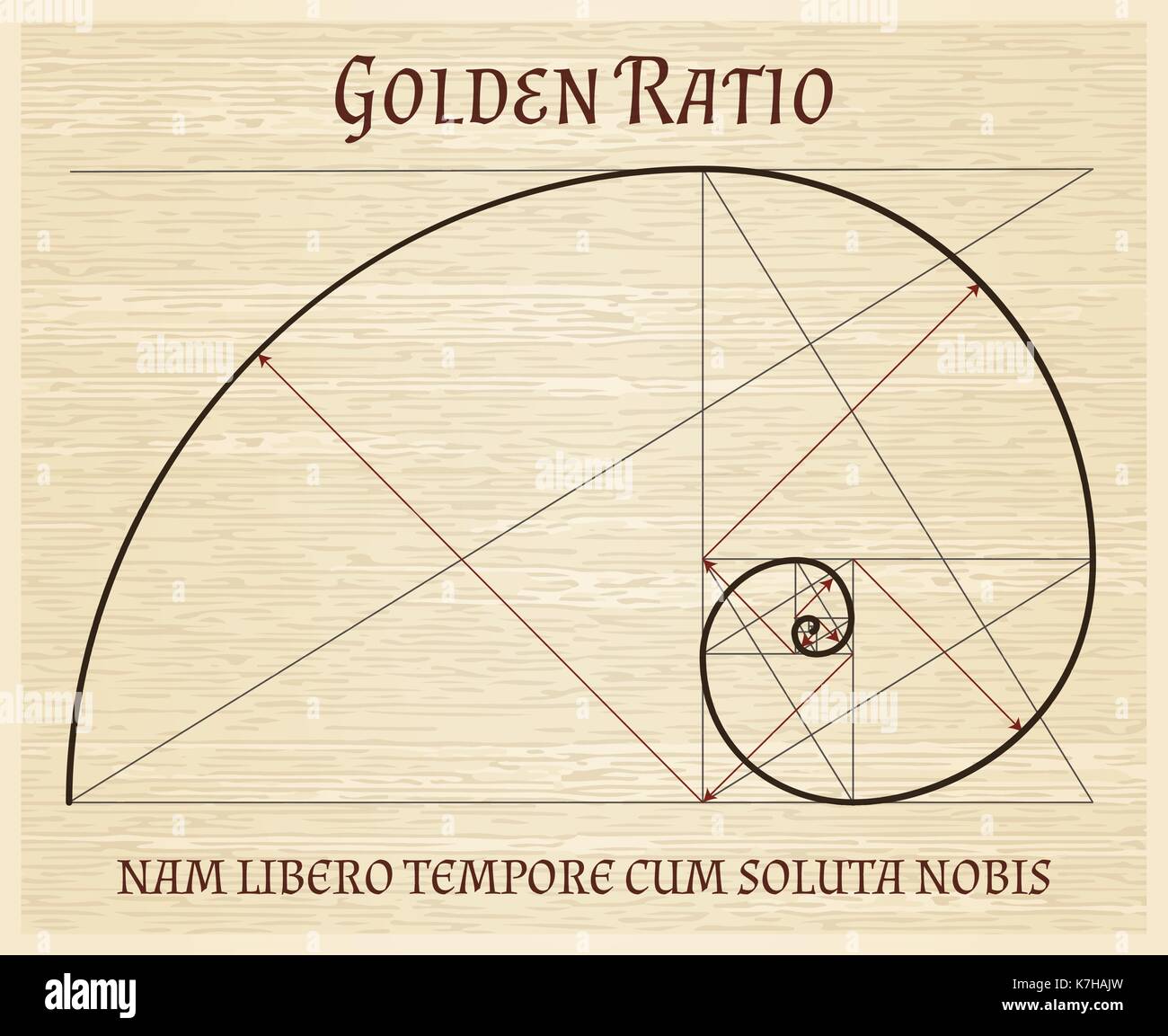 Golden Ratio High Resolution Stock Photography And Images Alamy