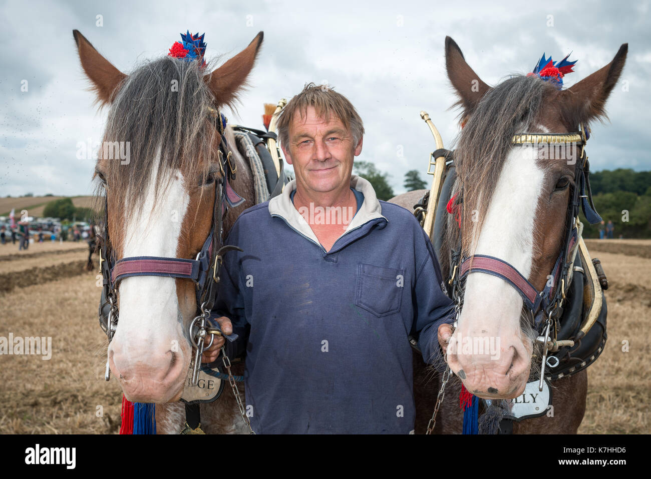 A farmer with his two Clydesdale horses at the West Grinstead Ploughing