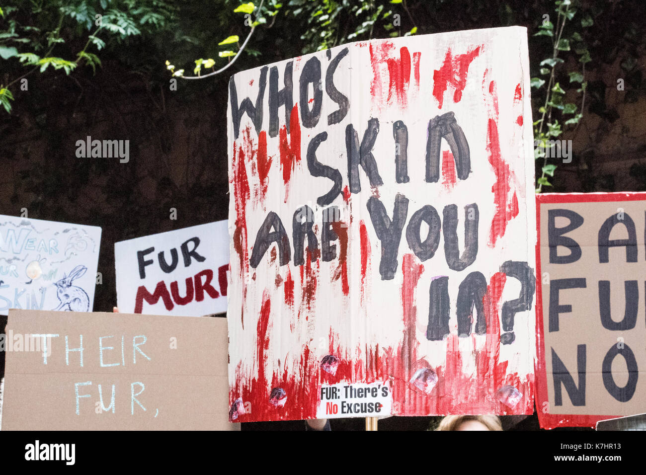 London 16th September 2017, Anti fur protesters picket the Gareth Pugh LFW17 presentation at the BFI IMAX Credit: Ian Davidson/Alamy Live News Stock Photo