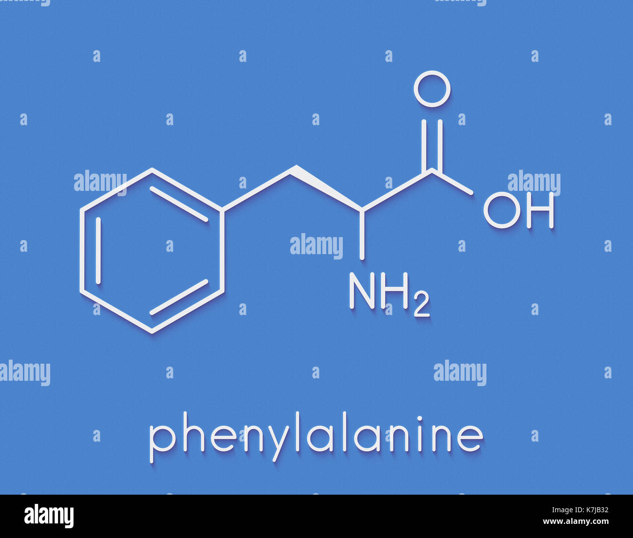 Phenylalanine (Lphenylalanine, Phe, F) amino acid molecule. Skeletal