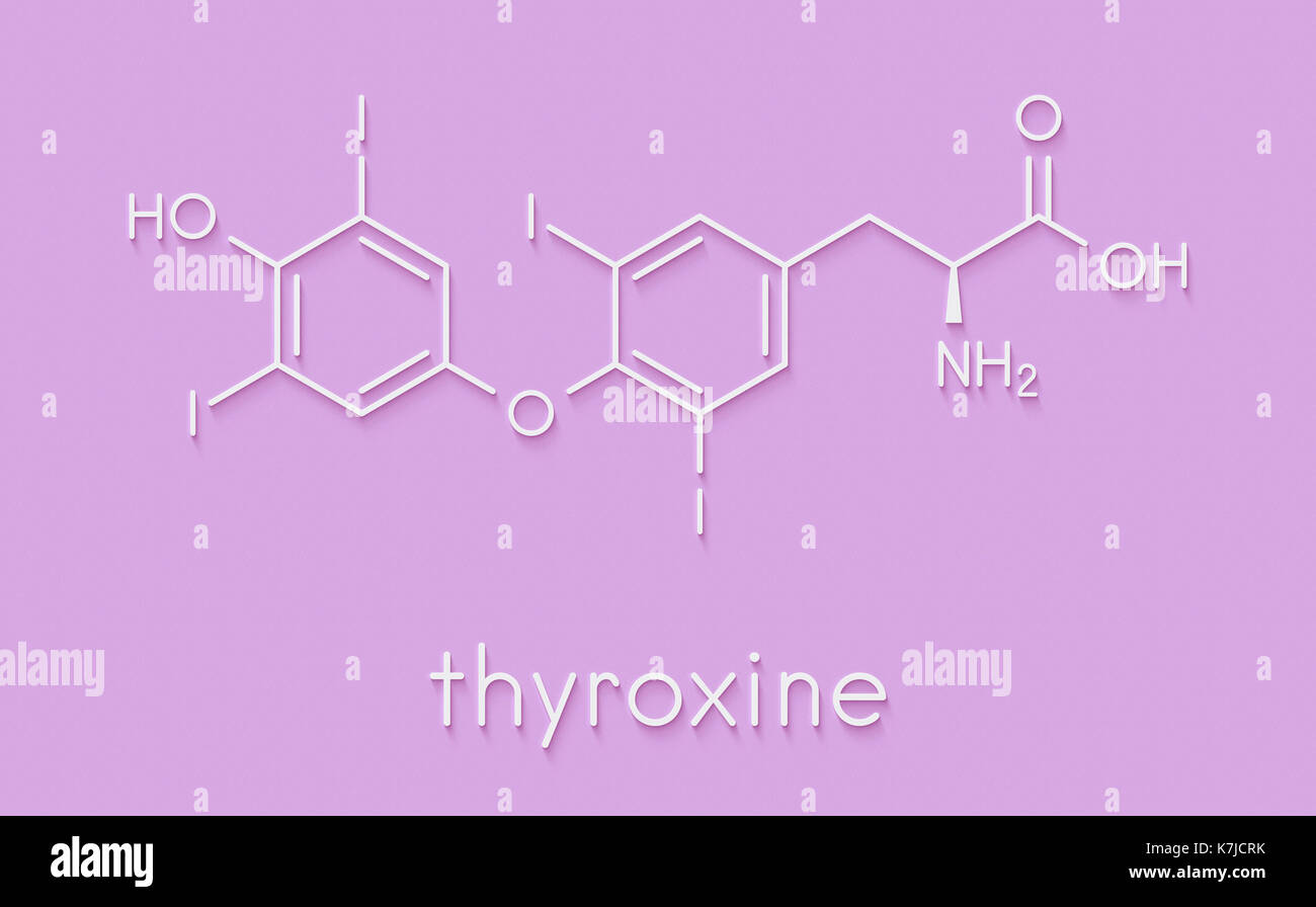 Thyroxine (T4, levothyroxine) thyroid hormone molecule. Prohormone of thyronine (T3). Used as drug to treat hypothyroidism. Skeletal formula. Stock Photo