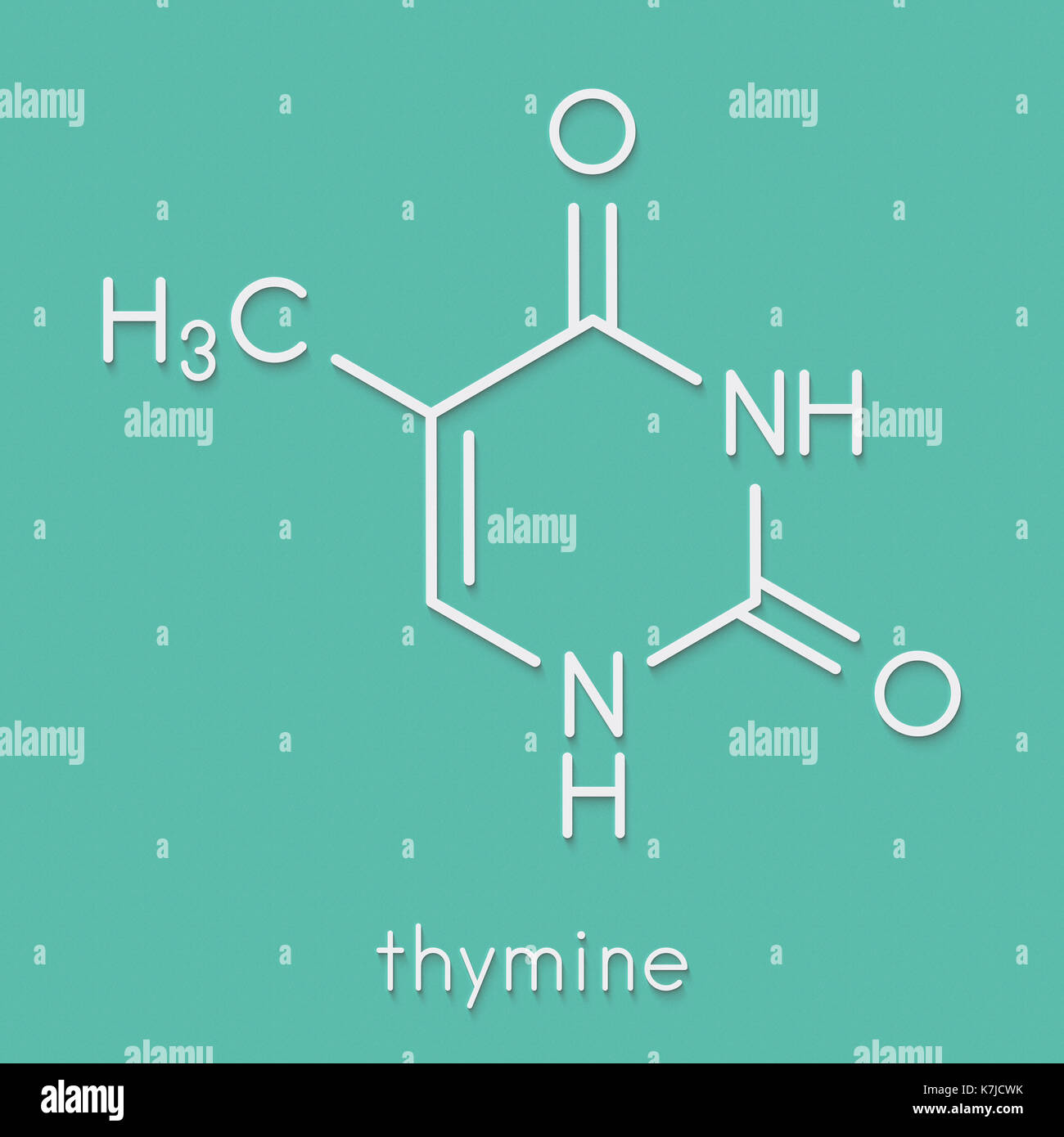Thymine (T) nucleobase molecule. present in DNA. Skeletal formula Stock