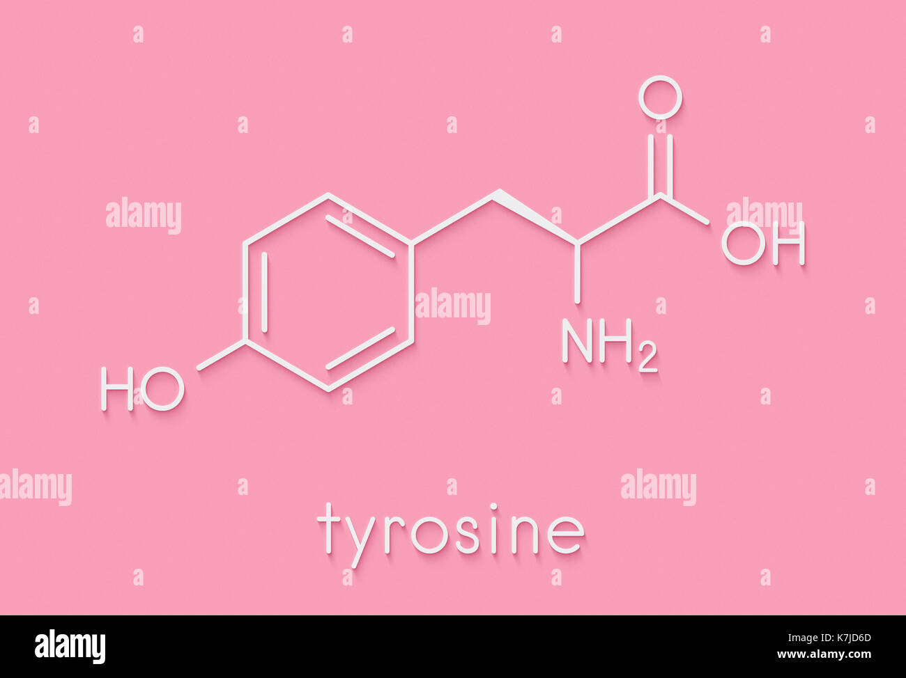 Tyrosine (ltyrosine, Tyr, Y) amino acid molecule. Skeletal formula