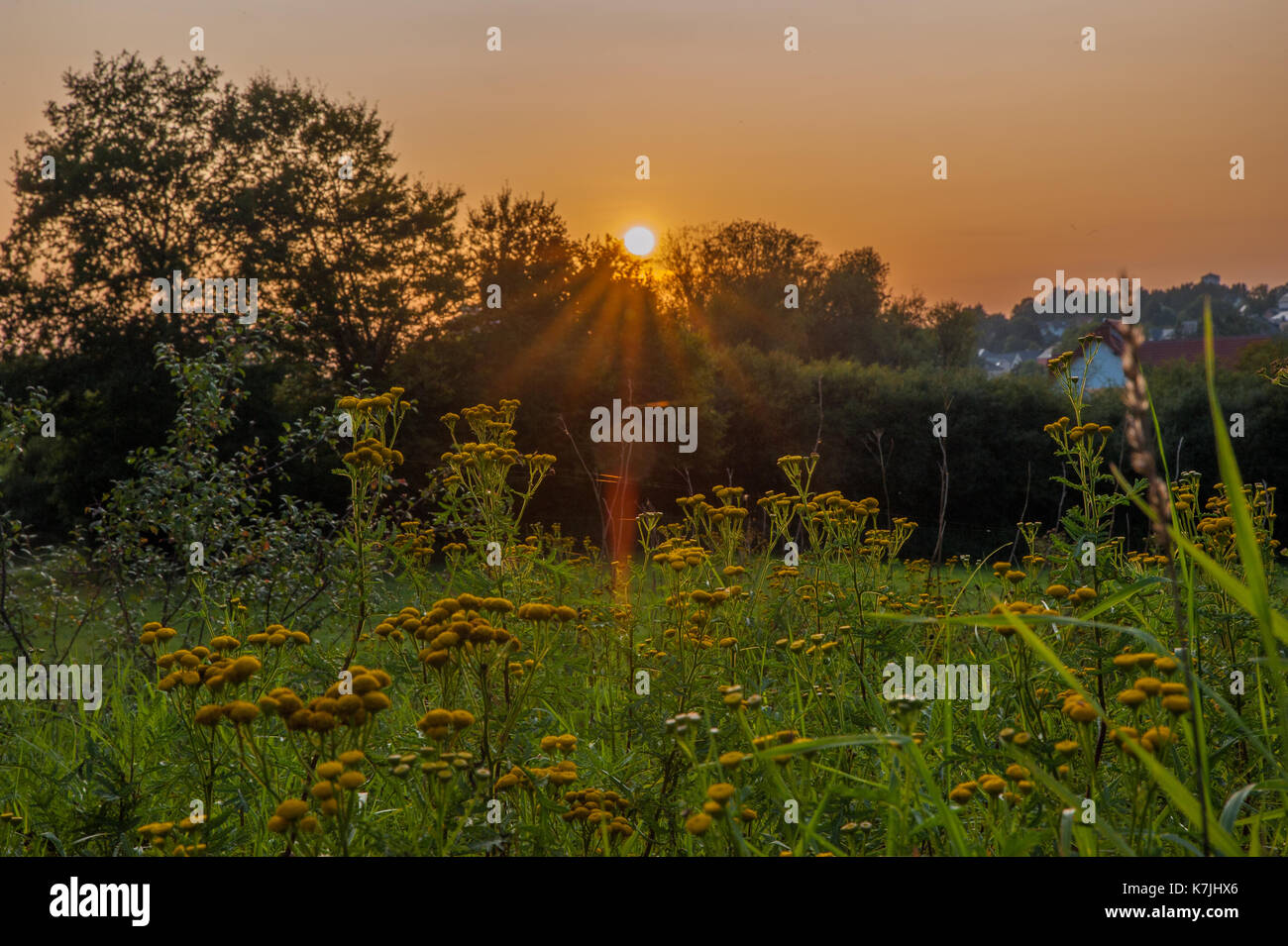 Sunset over the fields, Kleinbettingen, Luxembourg Stock Photo