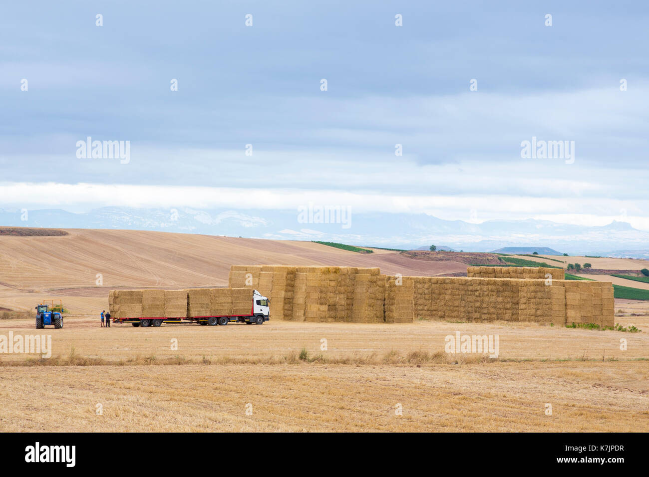 Farming scene of straw bales gathered on agricultural trailer after wheat crop in the plains of La Rioja, Spain Stock Photo
