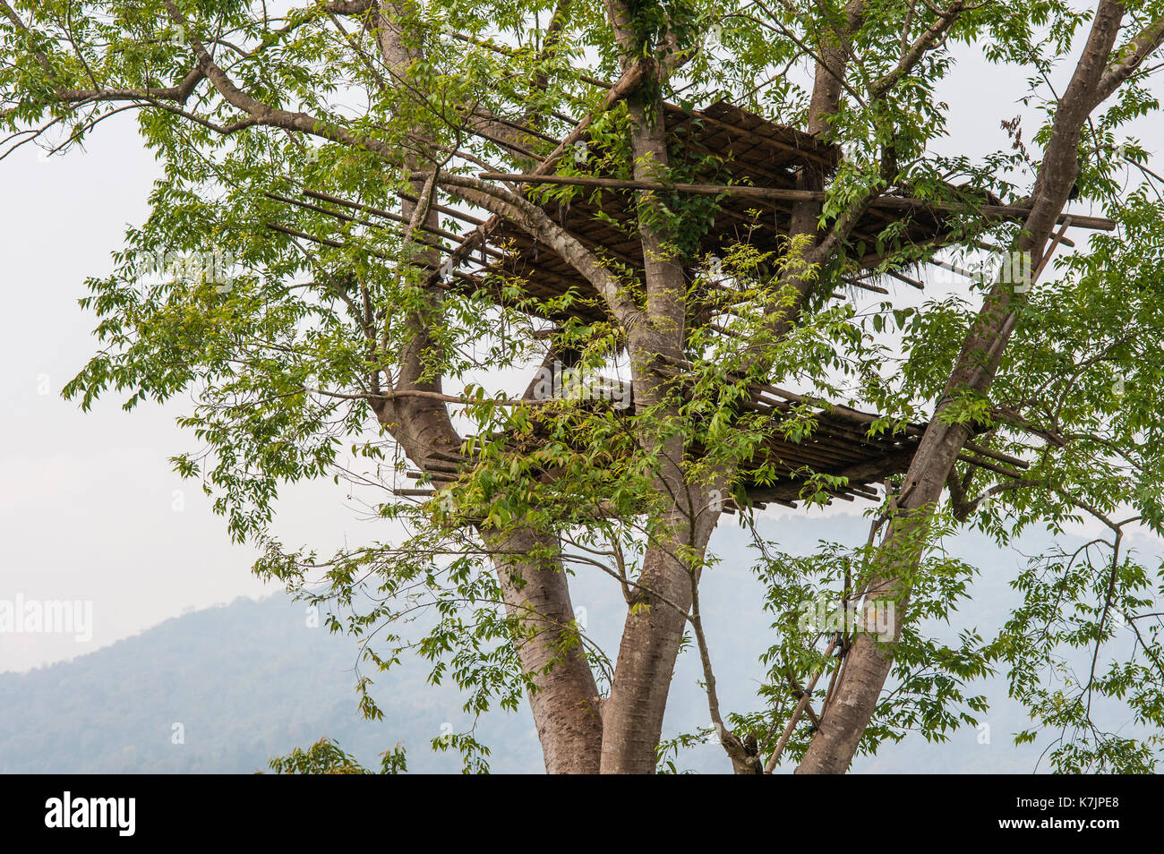 The lookout treehouse hires stock photography and images Alamy