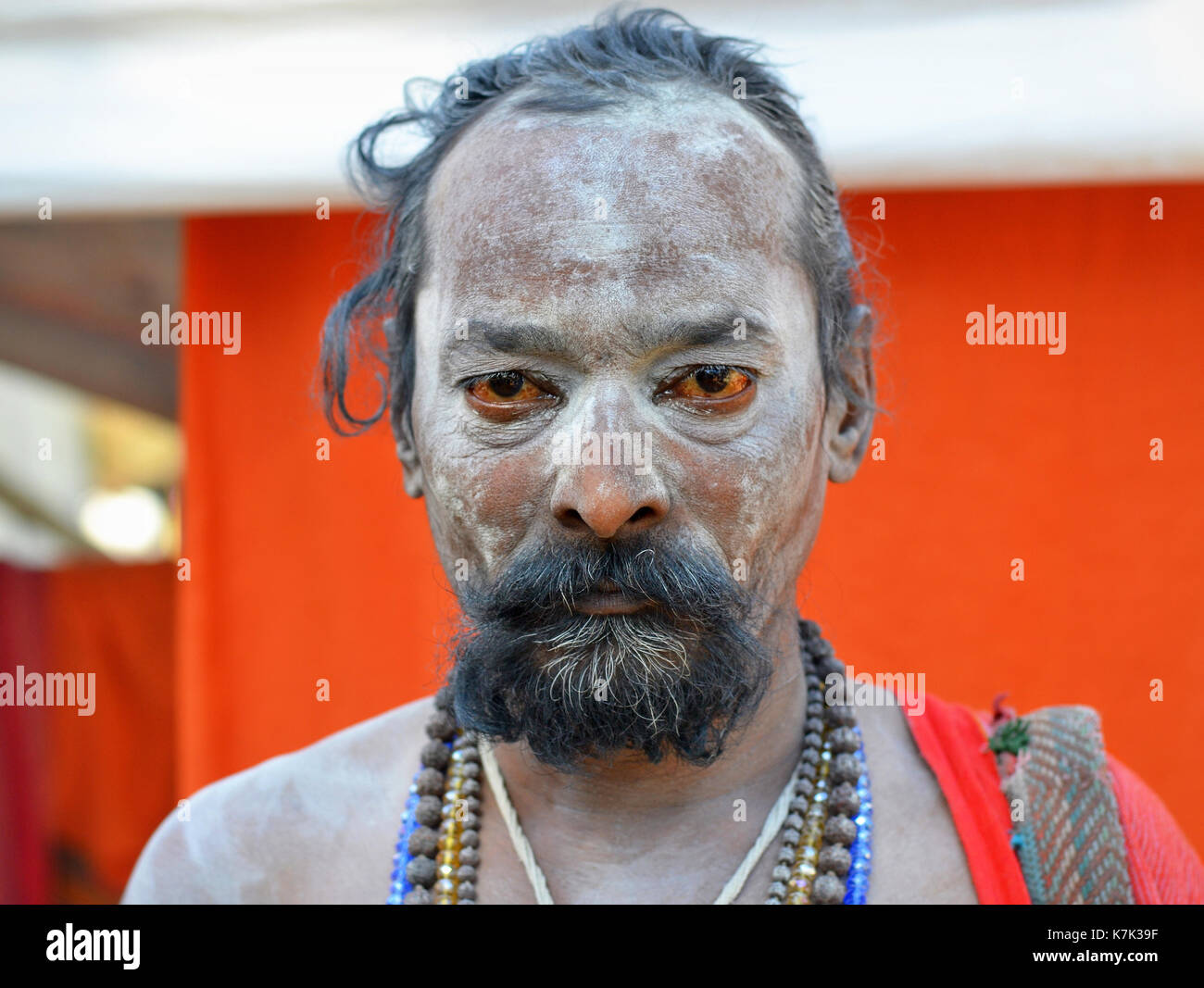 Indian Hindu devotee with bloodshot eyes and sacred white ash (vibhuti) all over his face poses for the camera during Shivratri Mela. Stock Photo