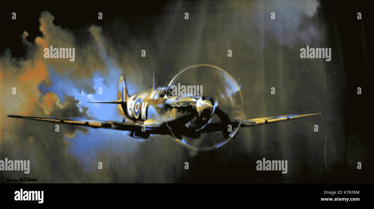 Spitfire MK Vb SM; Artist Barrie AF Clark 34882967523 o Stock Photo